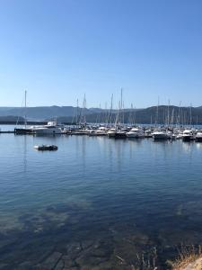 a bunch of boats are docked in a marina at Pensión o noso bar in Portosin