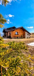 a wooden cabin with a bunch of bananas in front of it at Planinska kuća "Sedam Vlašića" in Vlasic