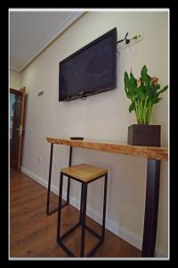 a desk with a tv and a plant on a wall at Hostel Gijón Centro in Gijón