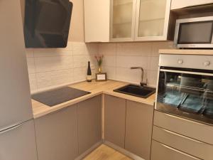 Kuchyňa alebo kuchynka v ubytovaní Apartments Amfa