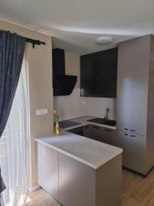 Kuchyňa alebo kuchynka v ubytovaní Apartments Amfa