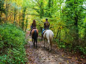 two people riding horses on a trail in the woods at Acogedor apartamento en EL VALLE DEL JERTE 1 in Piornal
