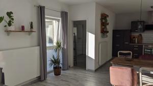 Kuchyň nebo kuchyňský kout v ubytování Ferienwohnung Kern Hitzacker