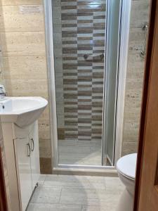 ein Bad mit einer Dusche, einem Waschbecken und einem WC in der Unterkunft Halkoz Apartment in Debrecen