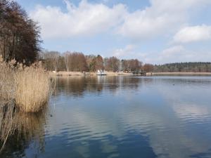 a large body of water with trees in the background at Gasthof & Hotel Heidekrug in Plau am See