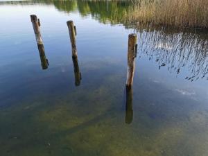 two poles sticking out of the water in a lake at Gasthof & Hotel Heidekrug in Plau am See