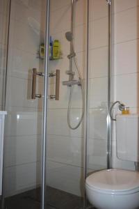 a bathroom with a shower and a toilet at Apartmani Trklja in Trebinje +20 photos
