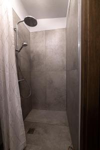 a bathroom with a shower with a shower head at Vija apartment Kuldīga in Kuldīga
