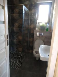 un bagno con un water e un lavandino di LEŚNY DWOREK 2 a Wołkowyja