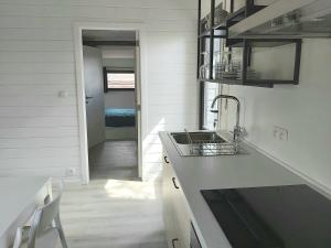 a kitchen with a sink and a counter top at Chalet Little Cocoon in Tellin
