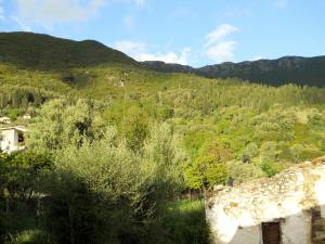 a view of a mountain with trees and bushes at Studios Lefkada in Sívros