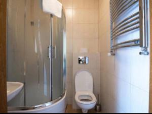 W łazience znajduje się prysznic, toaleta i umywalka. w obiekcie Pokoje Gościnne Barbara Wacławska w Iławie