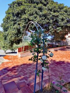a small tree in a garden with a arch at Villa Verde in Cefalù