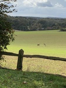 Natural landscape near the bed & breakfast 