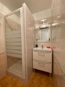 uma casa de banho com um chuveiro, um lavatório e um espelho. em Les locations Cinaureva ­« L'Argentière » em La Londe-les-Maures