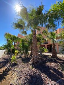 Zahrada ubytování Les locations Cinaureva ­« L'Argentière »