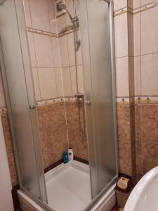 a shower with a glass door in a bathroom at Apartman Rada 2 in Bijeljina