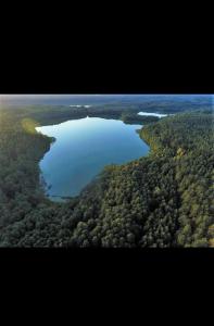 an aerial view of a lake in the middle of a forest at Gospodarstwo Agroturystyczne Aniela in Piecki