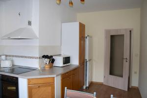 a kitchen with a counter top and a microwave at Ferienwohungen am Unstrutwehr in Freyburg