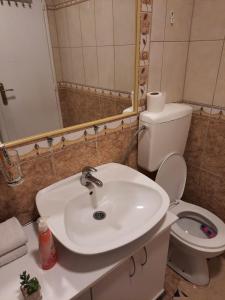 a bathroom with a white sink and a toilet at Apartman Rada 2 in Bijeljina