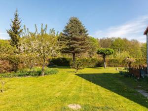 einen Garten mit grünem Gras und Bäumen an einem sonnigen Tag in der Unterkunft Cosy flat in Niepars with garden in Niepars