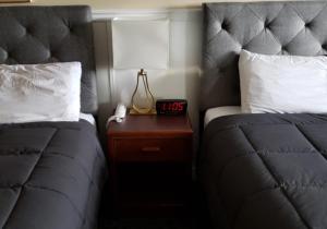 ein Schlafzimmer mit 2 Betten und einem Nachttisch mit einer Lampe in der Unterkunft Elite Hotel "Downtown Center" " Ski & Northern light Tour" in Whitehorse