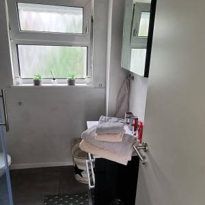 bagno con lavandino, finestra e asciugamani di FeWo Tanja a Lindau