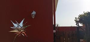 Fotografia z galérie ubytovania ALLOGGIO TURISTICO IL RIFUGIO IN FIUMICINO v destinácii Fiumicino