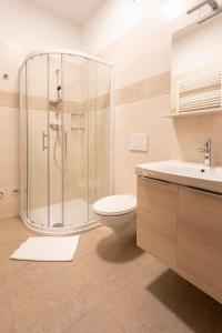 uma casa de banho com um chuveiro, um WC e um lavatório. em Peregrin Sveta Gora em Solkan