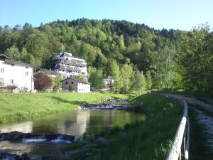 ein Fluss vor einem Berg mit einem Gebäude in der Unterkunft Casa Ferrari Michela in Calceranica al Lago