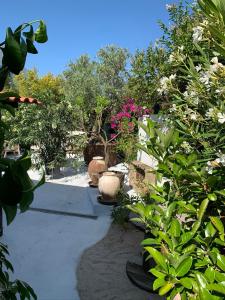 a garden with lots of plants and flowers at Dunes House in Carvalhal