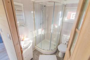 a bathroom with a shower and a toilet and a sink at Twój Zakątek pod Zatorem in Zator +17 photos