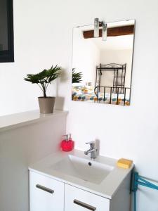 a bathroom with a sink and a mirror at Chez Waucquier in Beaucaire