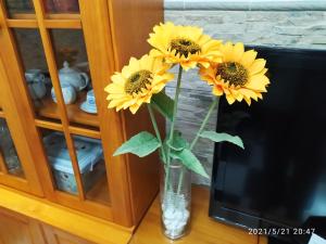 Fotografie z fotogalerie ubytování Los Tres Girasoles v destinaci Cádiz
