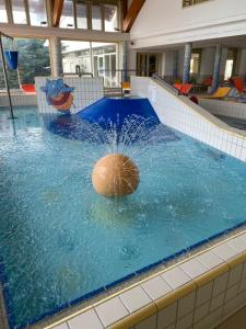 Basen w obiekcie Bike & Spa Velence Apartman lub w pobliżu