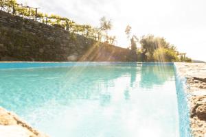 Gallery image of Recanto do Pinheiro in Arga de Baixo +60 photos
