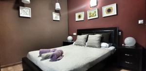 1 dormitorio con 1 cama grande y paredes moradas en Casa Das Airas, en Sarria