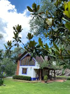 a house with blue and white paint on it at Cabaña del Rio in Huasca de Ocampo