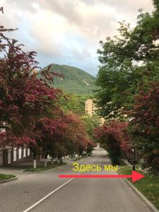 ジェレスノヴォツクにあるДвушка на Мироненкоの山を指す赤矢の通り