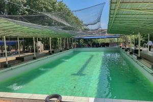 einem Pool mit grünem Wasser in einem Gebäude in der Unterkunft Taman Wisata Siwalk Cottage Syariah RedPartner in Cirebon