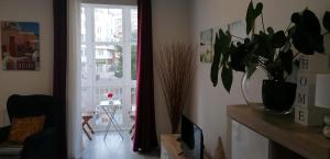 salon z rośliną i oknem w obiekcie Pisazo calle Peatonal en el centro! w mieście Santander