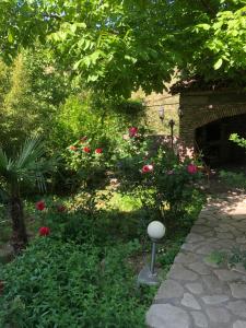 Zahrada ubytování Mate Guesthouse
