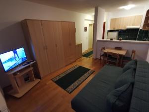 a living room with a couch and a tv and a kitchen at Bulevar Stan na Dan in Novi Sad