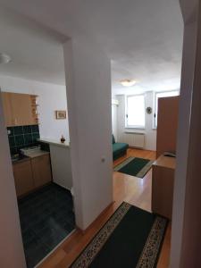 a room with a kitchen and a living room at Bulevar Stan na Dan in Novi Sad