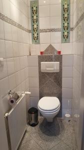 a small bathroom with a toilet and a sink at Appartements Andrea in Klosterneuburg