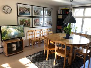 TV a/nebo společenská místnost v ubytování Håverud Hostel