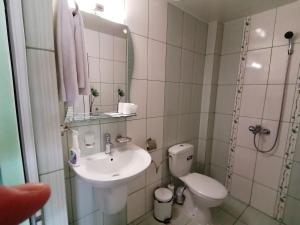 y baño con lavabo, aseo y espejo. en Къща за гости Морски Изгрев, en Shabla