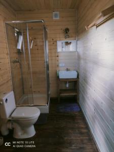 a bathroom with a shower and a toilet and a sink at Pod Dębem in Winnica +10 photos