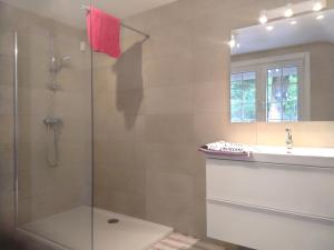 a bathroom with a shower and a sink at A l'Orée du Bois in Hamoir +10 photos