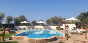 a swimming pool with chairs and umbrellas in a yard at Hotel Corallo in Fregene